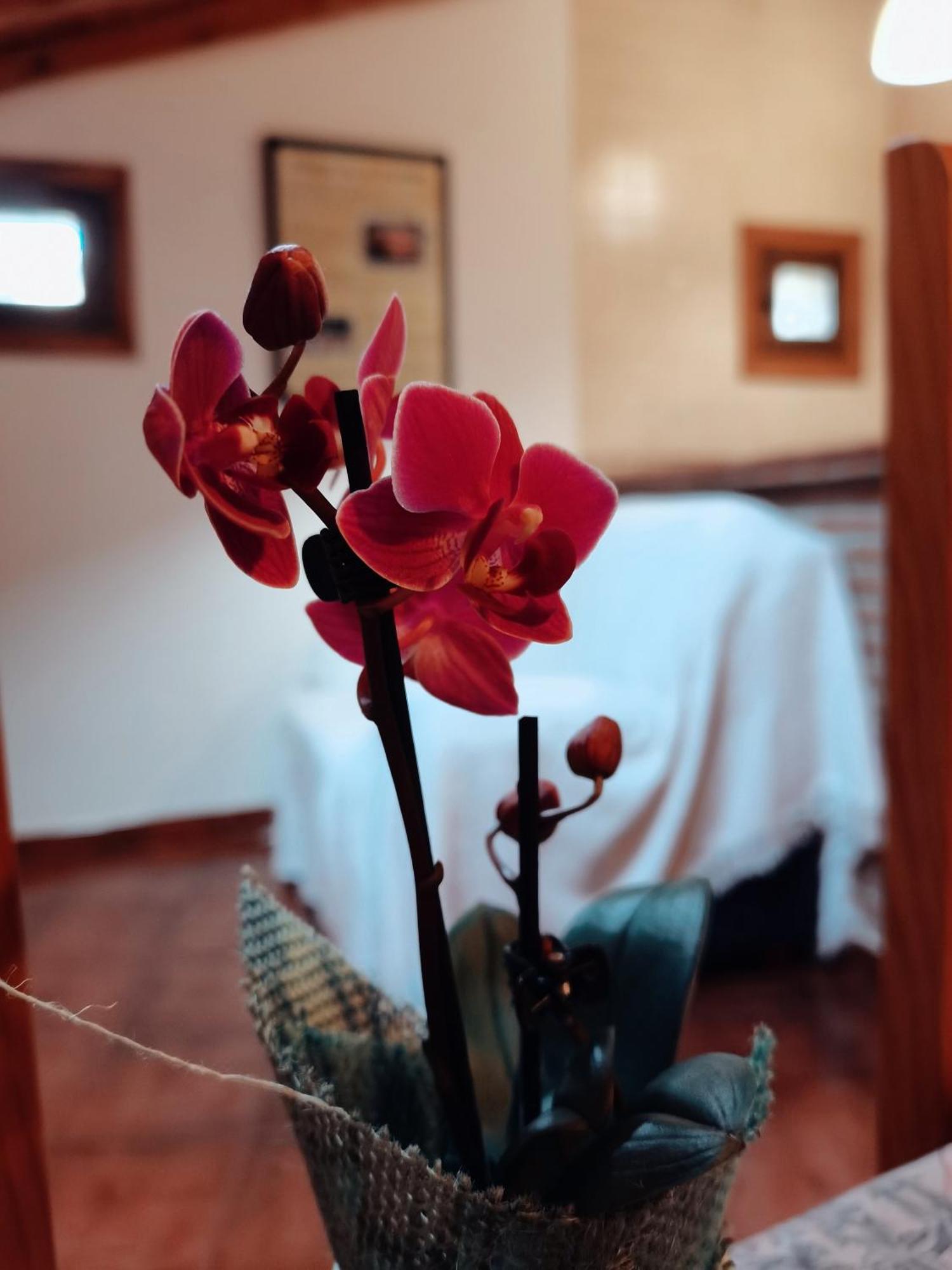 Casa Rural Parada Real Ґарґанта-ла-Олья Екстер'єр фото